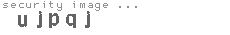 security image