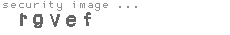 security image