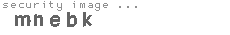 security image