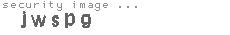 security image