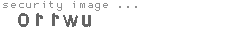 security image