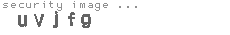 security image