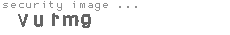 security image