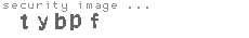security image