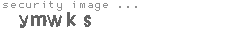 security image