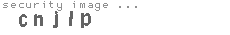 security image