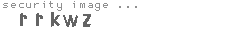 security image