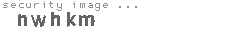 security image