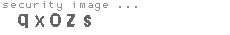 security image