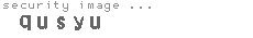 security image