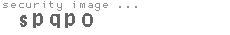 security image