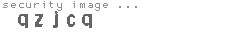 security image