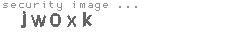 security image