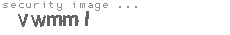 security image