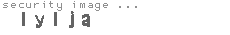 security image