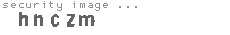 security image