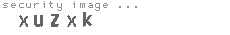 security image