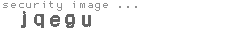 security image