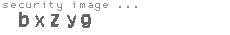 security image