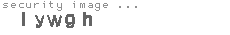 security image