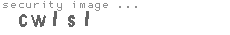 security image