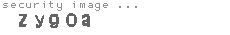 security image