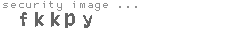 security image