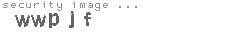security image