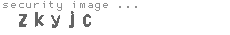 security image