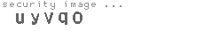security image