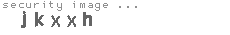 security image