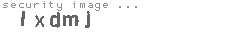 security image