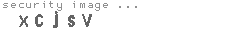 security image