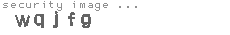 security image