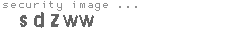 security image