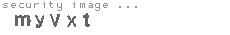 security image