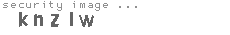 security image