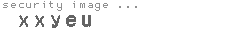 security image