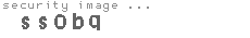 security image