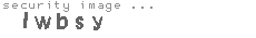 security image