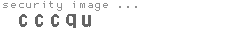 security image