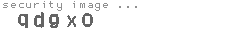 security image
