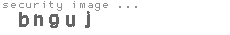 security image