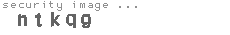 security image