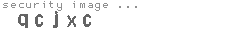 security image