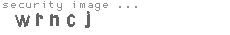 security image