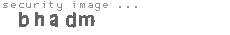 security image