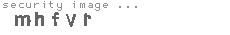 security image