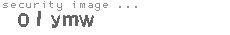 security image