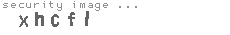 security image